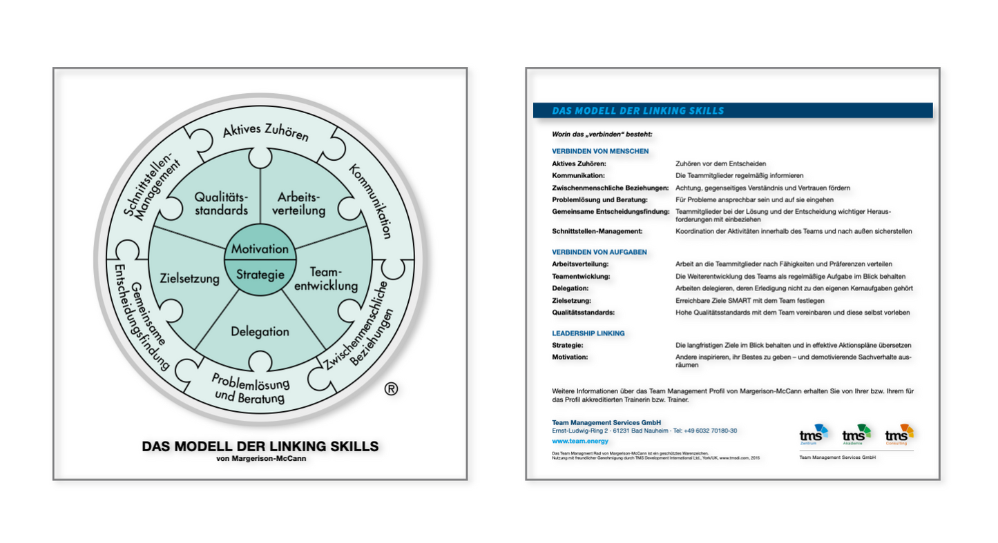 Modellkarte Modell der Linking Skills (25 Stück)