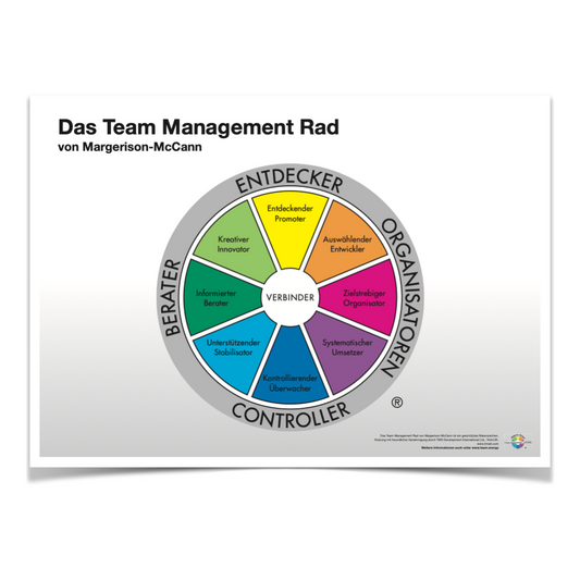 Poster Team Management Rad DIN A1 (3er Pack)