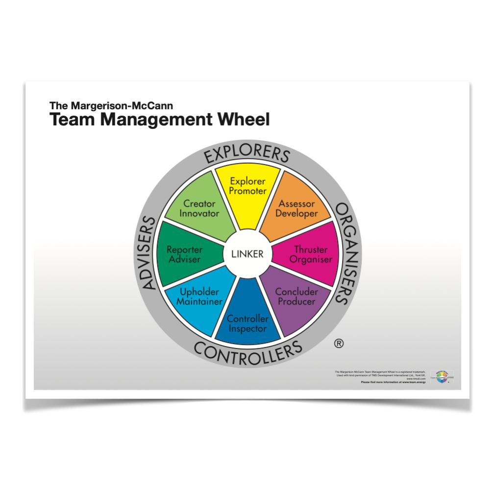 Poster Team Management Rad DIN A1 (3er Pack)