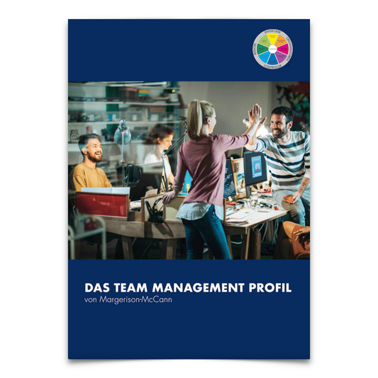 Kundenflyer Team Management Profil