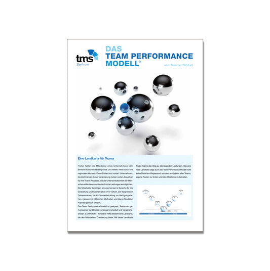 Flyer zum Team Performance Modell
