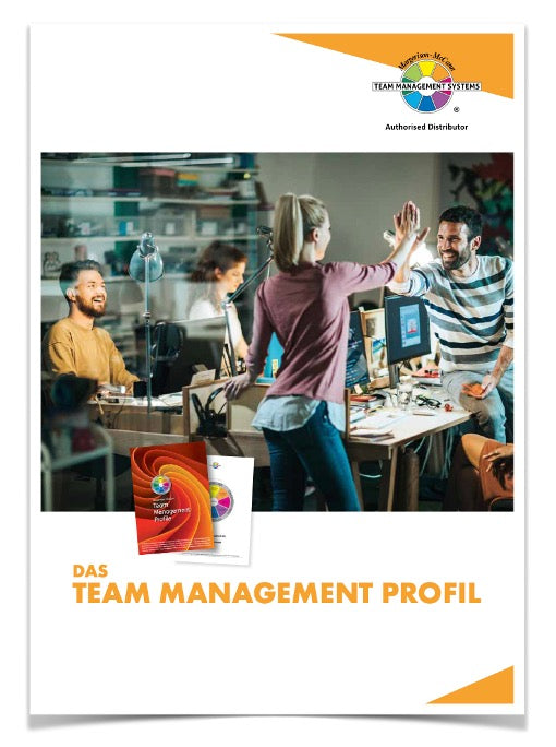 Kundenflyer Team Management Profil