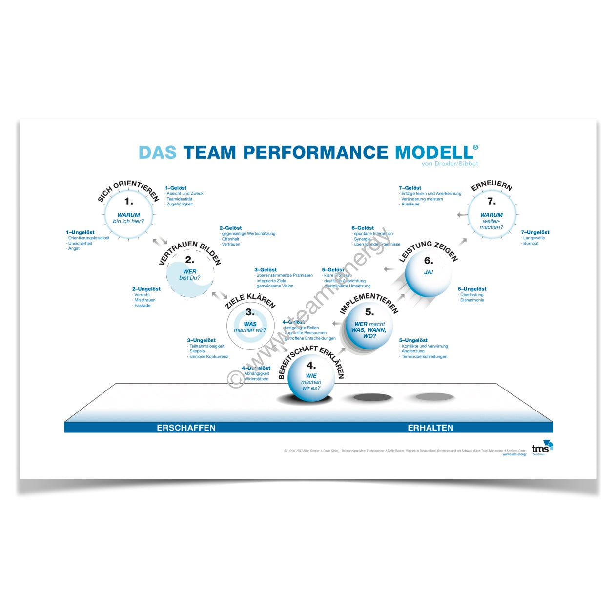 Poster Team Performance Modell – TMS Shop